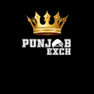 Punjabexch